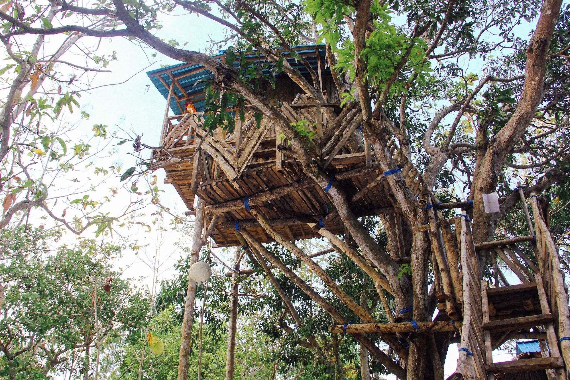 Hotel Nyuh Bengkok Tree House à Batununggul Extérieur photo